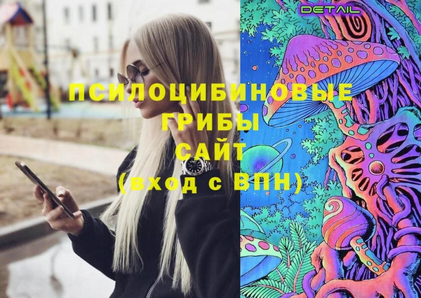 ПСИЛОЦИБИНОВЫЕ ГРИБЫ Баксан