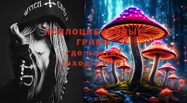 ПСИЛОЦИБИНОВЫЕ ГРИБЫ Михайловка