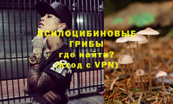 мяу мяу мука Медногорск