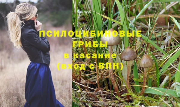скорость Мегион