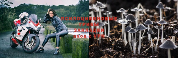 мяу мяу мука Медногорск