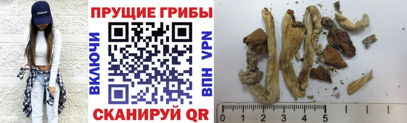 Галлюциногенные грибы мухоморы  Зверево 